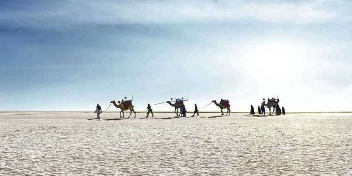 GUJARAT - The largest salt desert in Asia