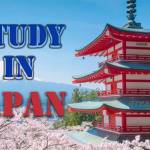 Study in Japan Profile Picture