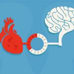 Heart and the Brain Profile Picture