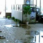 water_damage_restoration Profile Picture