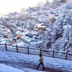 Shimla Profile Picture