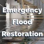 emergency_flood_repair Profile Picture