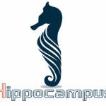 HippoCampus Profile Picture