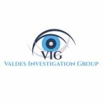 Valdes Investigation group Profile Picture