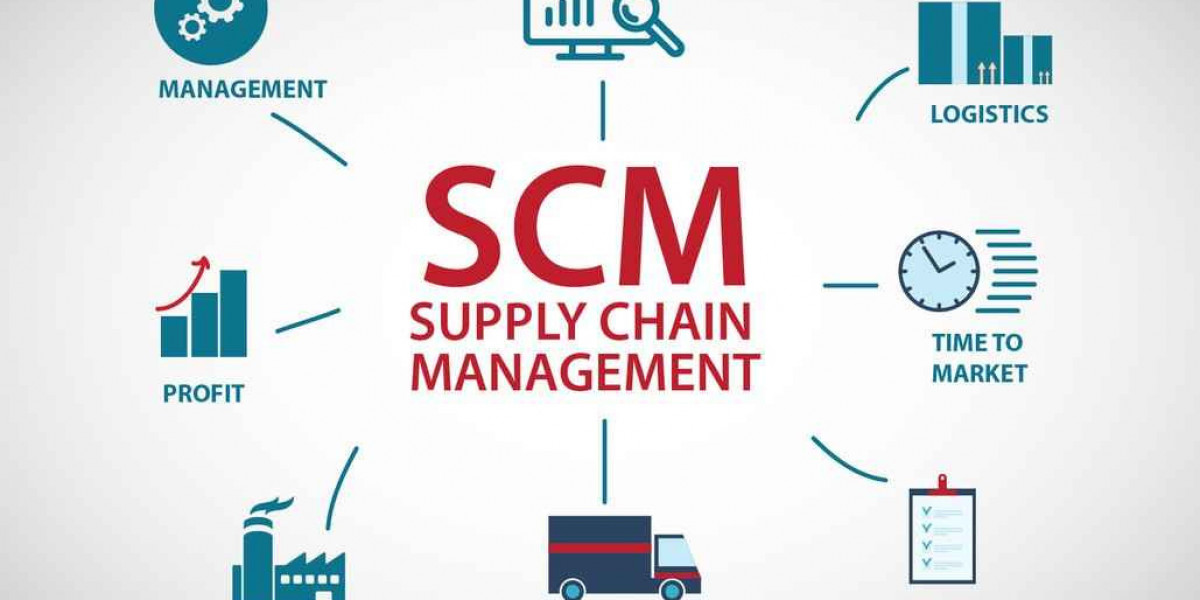Elevate Your Professional Journey with a Diploma in Supply Chain Management