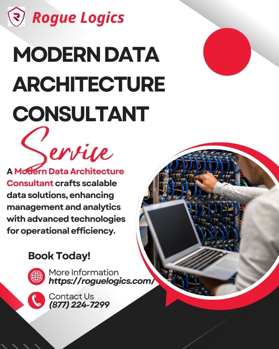 How Modern Data Architecture Consultants Can Help You? – Rogue Logics