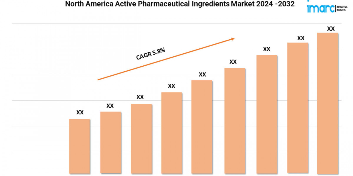 North America Active Pharmaceutical Ingredients Market Demands, Growth Analysis, Industry Report 2024-2032