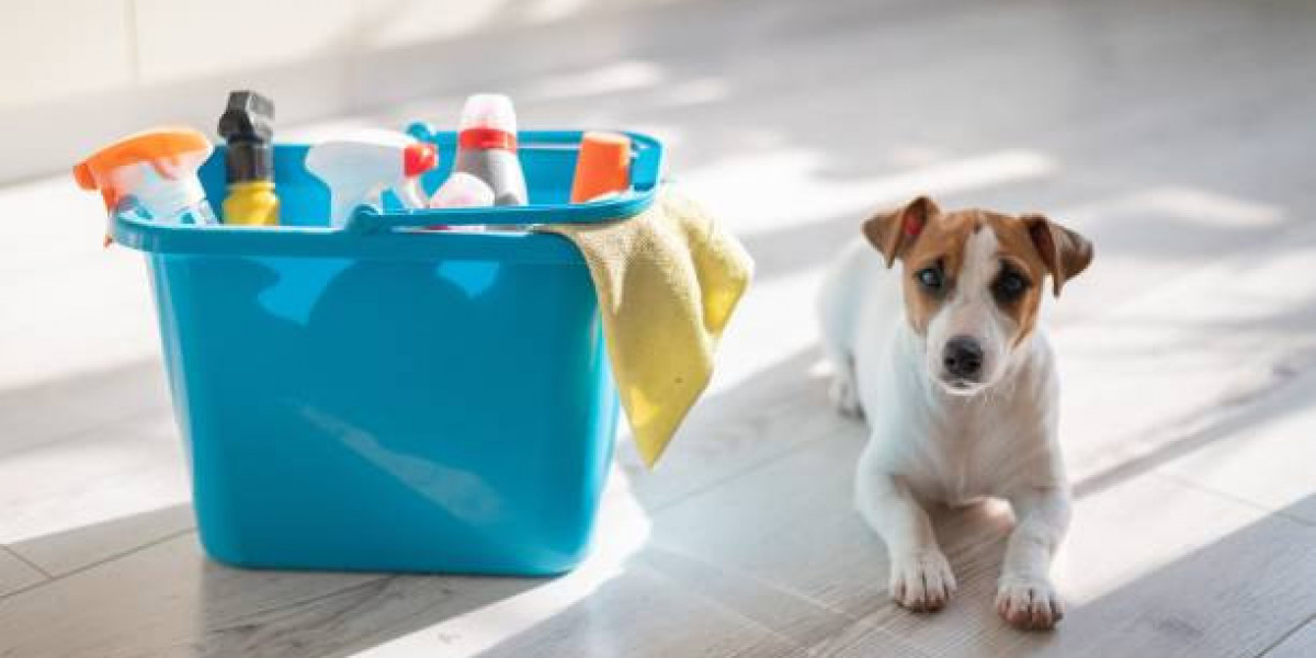 Secrets to Keeping Your Home Clean with Pets