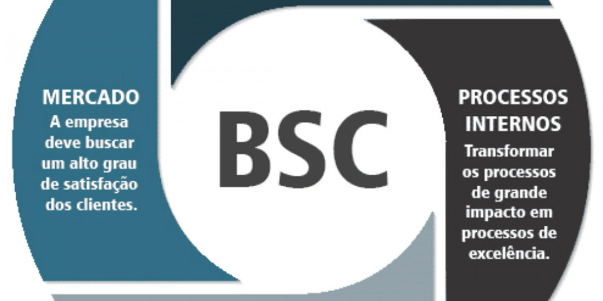 "How to Build a Strong Profile During Your BSc Course"