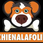 Chienala folie Profile Picture